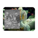 Buscar flores blancas imanes Para ella