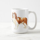 Buscar cavalier king charles spaniel tazas Cavidad