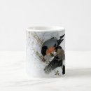 Buscar caza de zorro tazas Animal