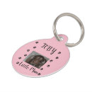 Buscar conmemorativos collares Para mascotas