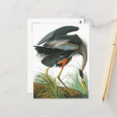 Buscar john james audubon postales Grúa
