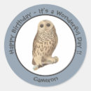 Buscar lechuza pegatinas Fiesta de cumpleaños