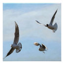 Buscar gaviotas arte Náutico