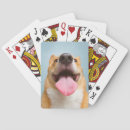 Buscar imágenes animales barajas de cartas Divertido