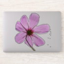 Buscar cosmo rosado pegatinas Naturaleza