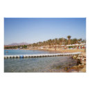 Buscar egipto posters Rojo
