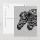 Buscar estampado de zebra postales Cebras