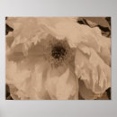 Buscar florencia posters Floral