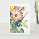 Buscar loro tarjetas Tulipán de loro