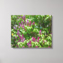 Buscar lila lienzos Arbusto