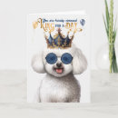 Buscar frise del bichon tarjetas Bichón