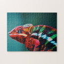 Buscar camaleones puzzles Lagarto