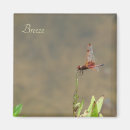 Buscar diablo imanes Rojo