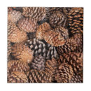 Buscar pino azulejos Don paulson