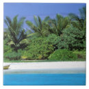 Buscar playa arenosa posavasos Isla