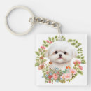 Buscar malta llaveros Maltés