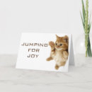 Buscar kitten tarjetas 6 º mamarrera