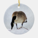 Buscar canadiense adornos Pájaro