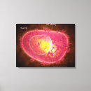 Buscar célula lienzos Primer