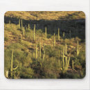 Buscar norteamérica alfombrillas de raton Usa