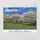 Buscar druida postales Baltimore