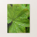 Buscar islandia puzzles Verde