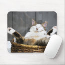 Buscar cama alfombrillas de raton Gato