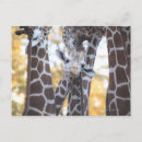 Buscar foco selectivo Fauna silvestre