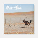 Buscar gemsbok Africa