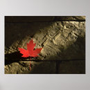 Buscar hoja de arce canadiense posters Patriotismo