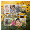 Buscar abuela azulejos Para ellos