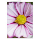 Buscar formosa postales Día