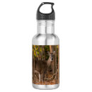 Buscar deer agua botellas Vida silvestre