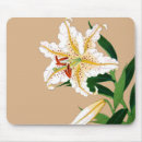 Buscar flores y hojas alfombrillas de raton Flor blanca