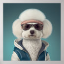 Buscar pap posters Perro