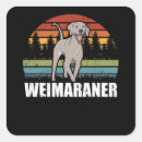 Buscar weimaraner pegatinas Perro de weimaraner