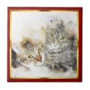 Buscar garra azulejos Gato