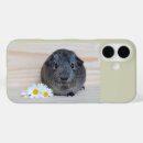 Buscar guinea iphone fundas Adorable