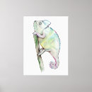 Buscar camaleón lienzos Lagarto