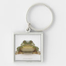 Buscar rana llaveros Escalas