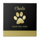 Buscar paw azulejos Trineo