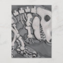 Buscar fósil de dinosaurio postales Huesos