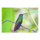 Buscar estudios fotográficos posters Nadie