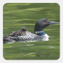 Buscar responsabilidad postales Comportamiento