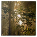 Buscar costa este azulejos Amanecer