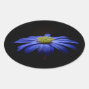 Buscar gerberas pegatinas Maricas