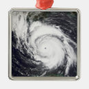 Buscar lili adornos Costa