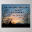 Buscar el remedio posters Para todos