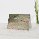 Buscar cardenales rojos tarjetas Naturaleza
