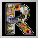 Buscar letra r posters General y unisex